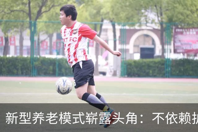 新型养老模式崭露头角：不依赖护工与养老院，子女更放心